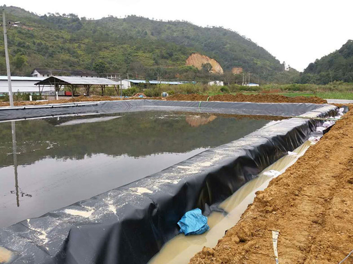 魚(yú)塘里用土工膜做防滲層需不需要回填土壤？